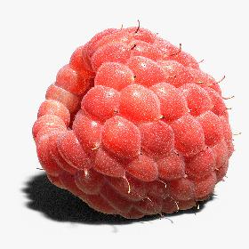 3D Raspberry (fur)